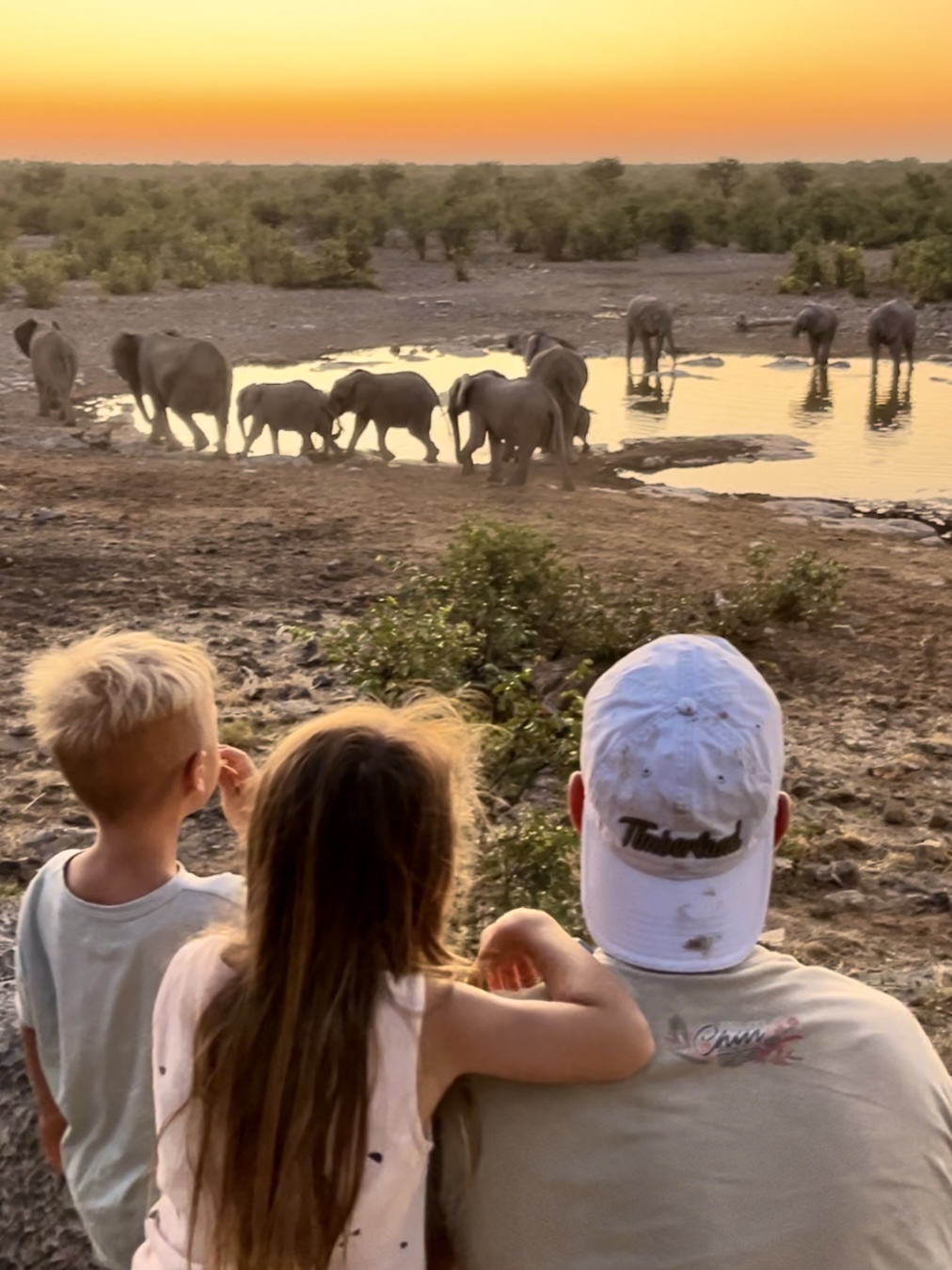 Familie beobachtet bei Sonnenuntergang eine Elefantenherde am Wasserloch