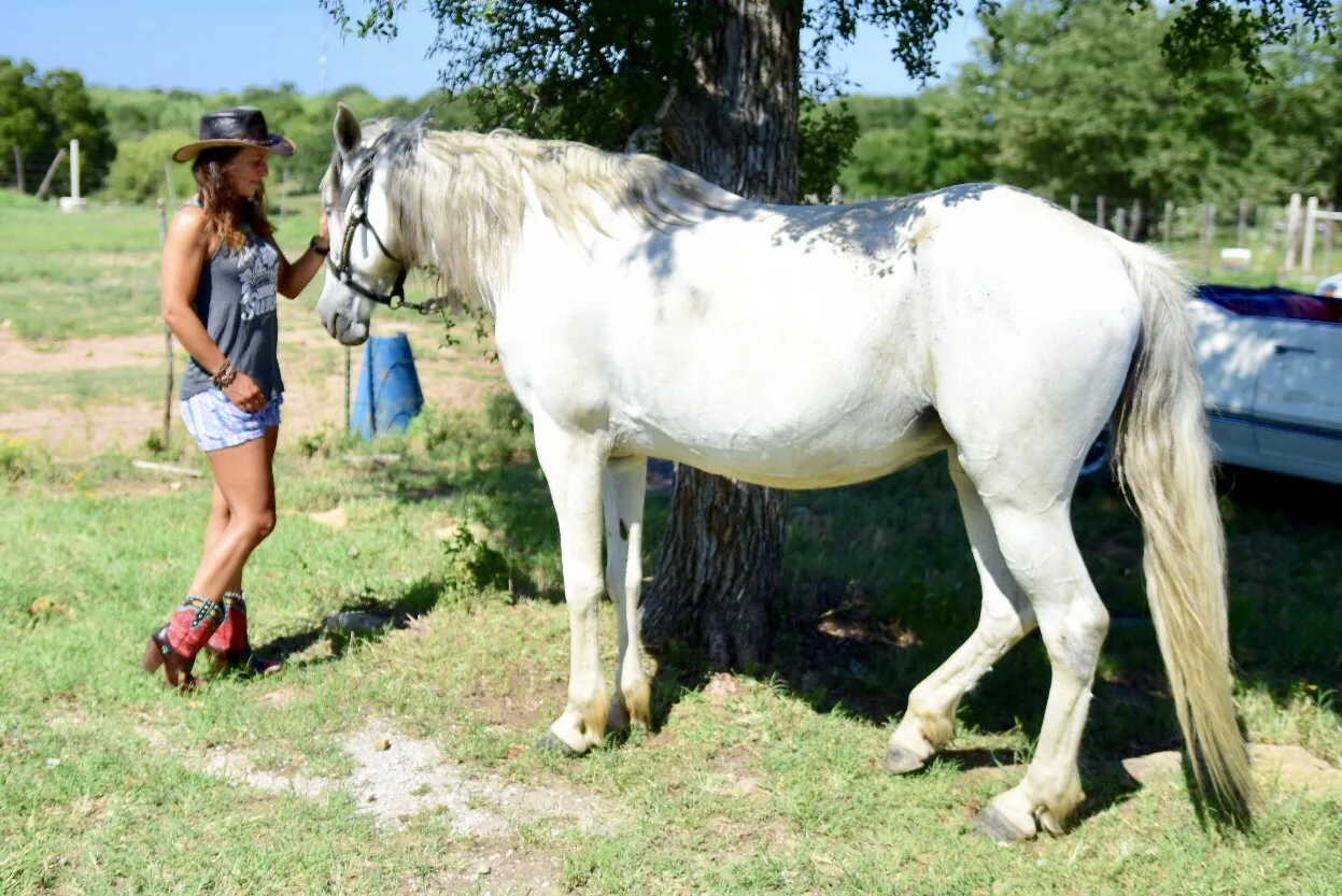 Reisefoto aus «Cowboy-Feeling Dallas» – Bild 14 von 40
