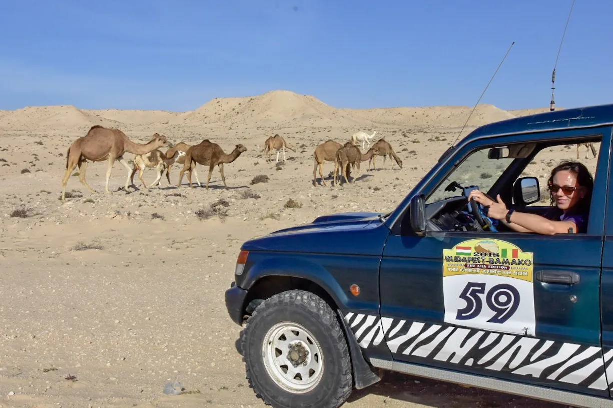Reisefoto aus «19.01. - 21.01.18 Sanddünen der Westsahara und die Wüste Mauretaniens» – Bild 1 von 33