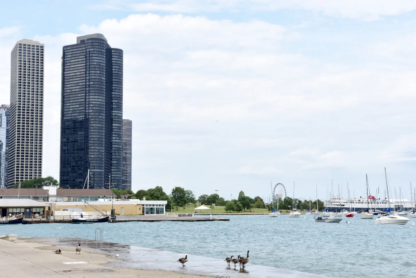 Reisefoto aus «50 Tage, 12'000 km und 14 Staaten USA» – Bild 11 von 31