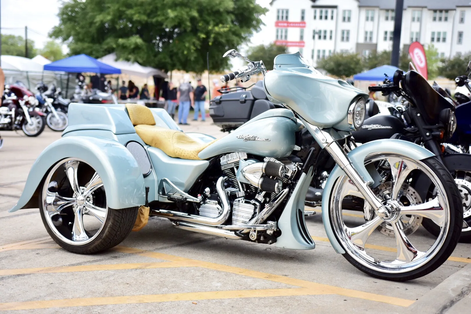 Reisefoto aus «Howdy Texas» – Bild 45 von 50