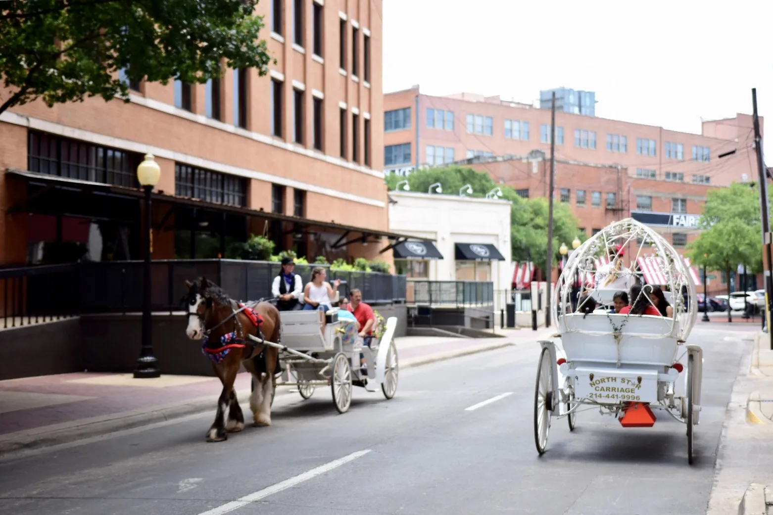 Reisefoto aus «Cowboy-Feeling Dallas» – Bild 20 von 40