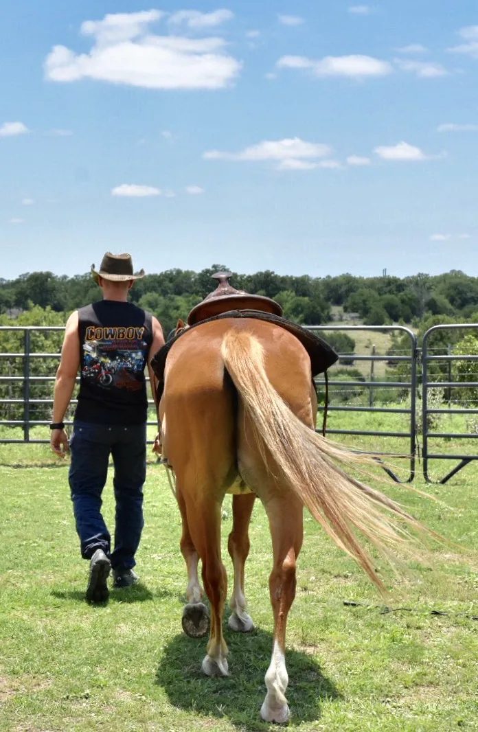 Reisefoto aus «Cowboy-Feeling Dallas» – Bild 9 von 40