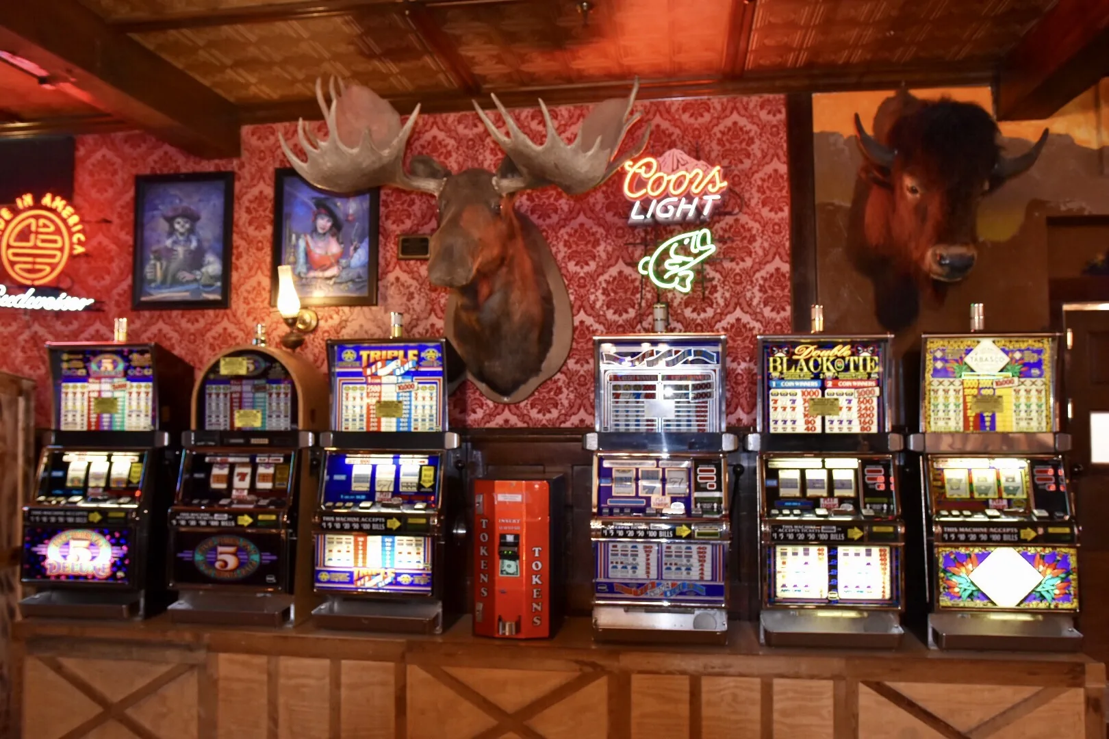Reisefoto aus «Howdy Texas» – Bild 8 von 50